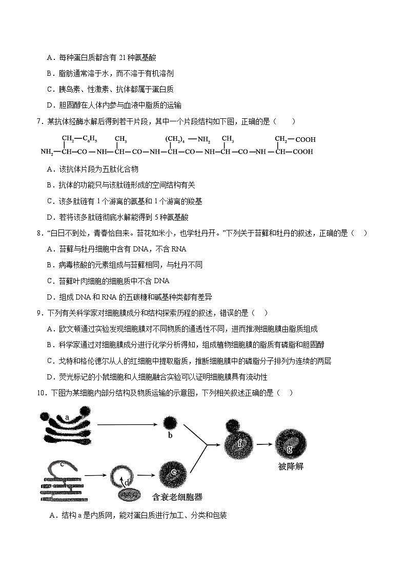 山西省吕梁市三金联盟2025-2026学年高一上学期第二次联合考试（12月）生物试卷（含答案）第2页