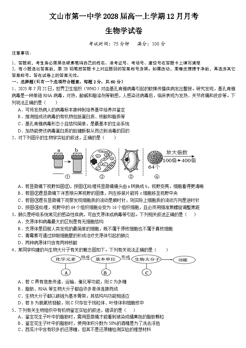 云南省文山壮族苗族自治州文山市第一中学2025-2026学年高一上学期12月月考生物试题第1页