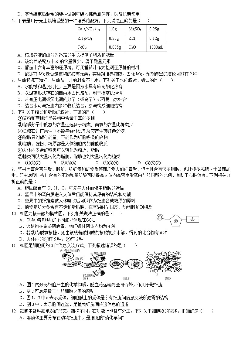 云南省文山壮族苗族自治州文山市第一中学2025-2026学年高一上学期12月月考生物试题第2页