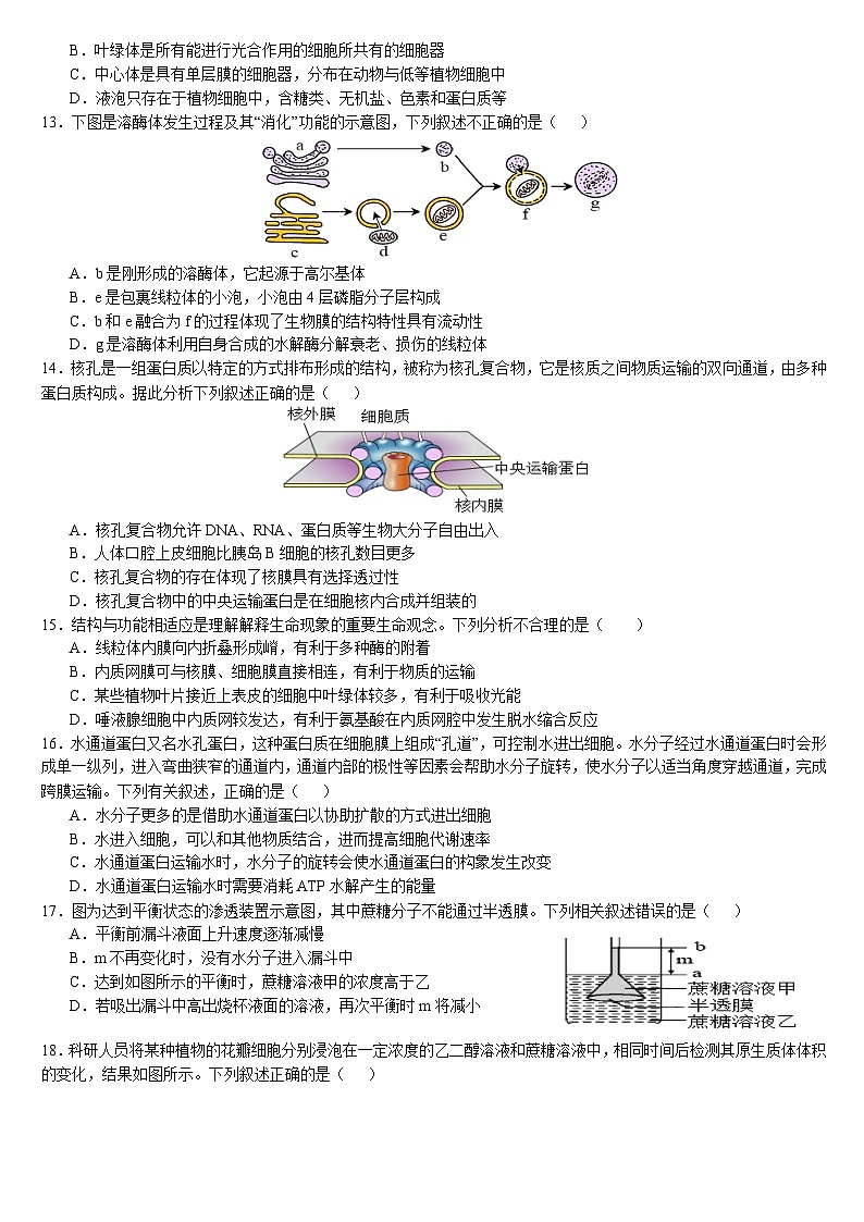 云南省文山壮族苗族自治州文山市第一中学2025-2026学年高一上学期12月月考生物试题第3页