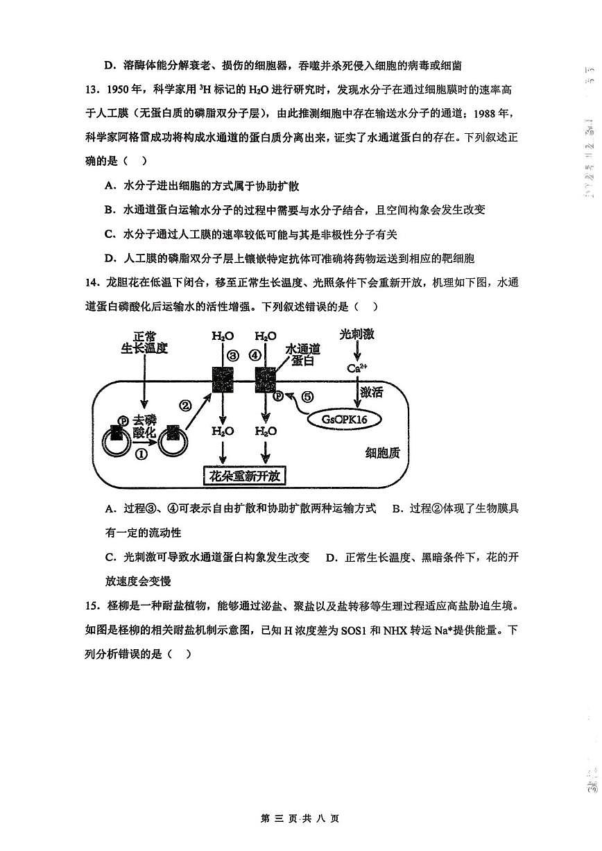 2025-2026学年安徽省阜阳市太和县第八中学高一上学期12月月考生物试题（有答案）第3页