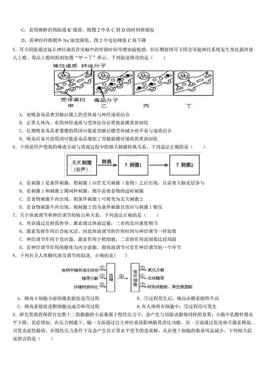 2025-2026学年云南省文山市第一中学高二上学期12月月考生物试题（有答案）第2页