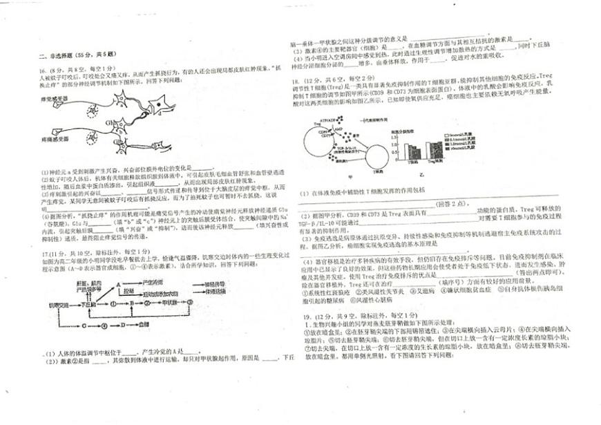 2025-2026学年安徽省六安市部分学校高二上学期12月考试生物试题（有答案）第3页