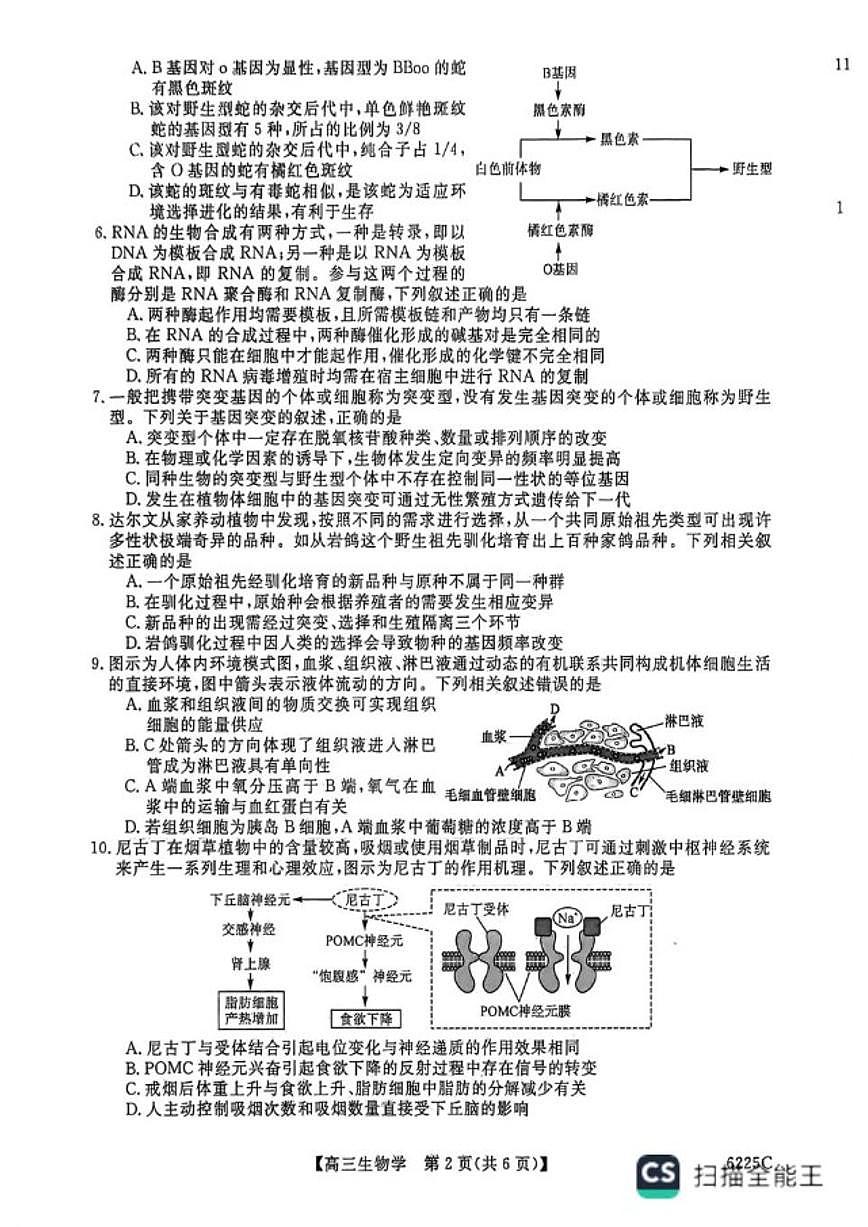 2025-2026学年山东省大联考高三上学期12月月考生物试题（有答案）第2页