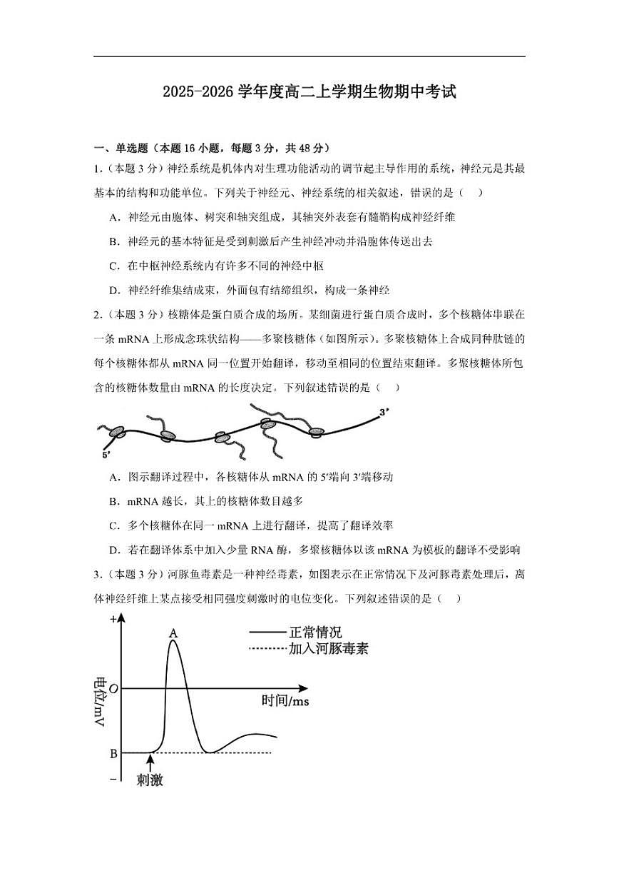 2025-2026学年河南省漯河临颍县博雅学校高二上学期期中考试生物试题（有答案）第1页