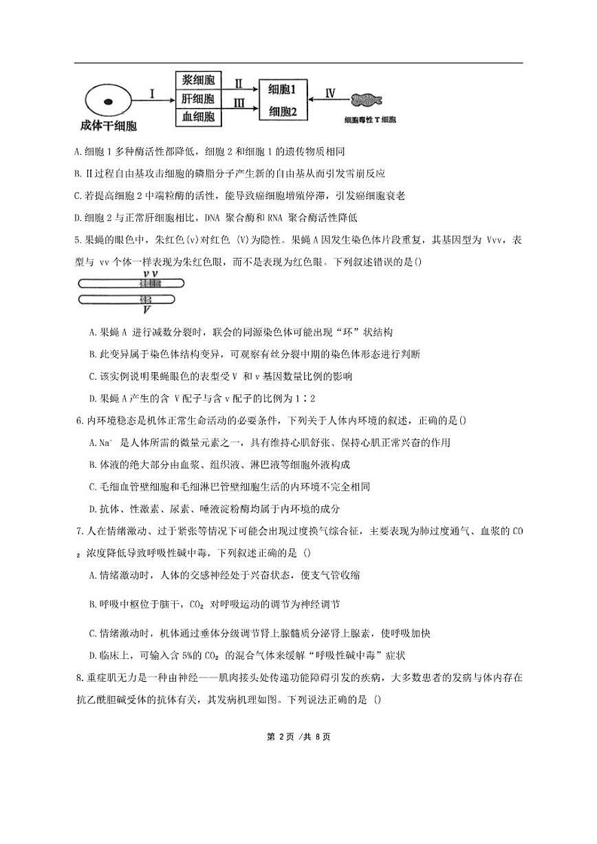 2025-2026学年广东省汕头市潮阳区潮阳实验学校高二上学期12月月考生物试题（有答案）第2页