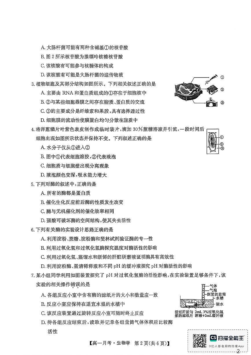 2025-2026学年云南省文山州砚山县第一中学高一上学期12月月考生物试卷（有答案）第2页