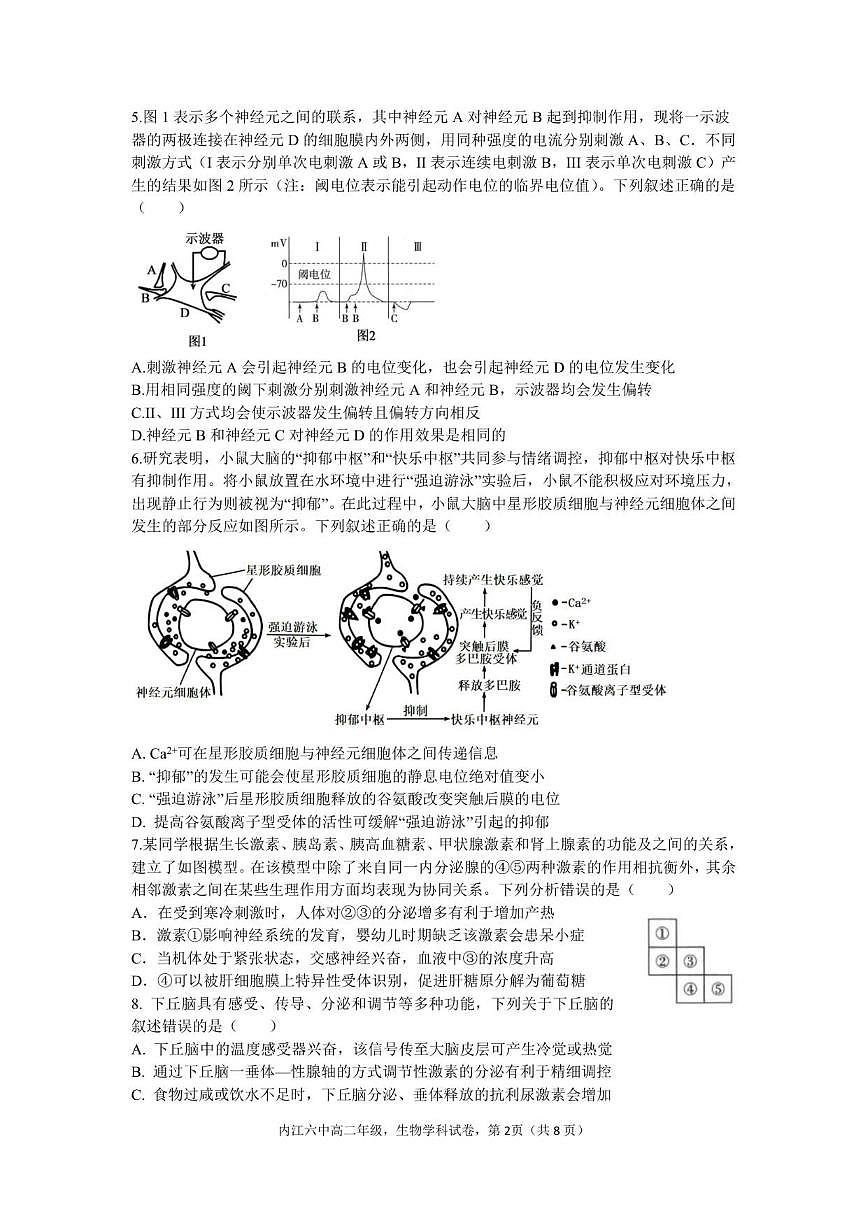 2025—2026学年四川省内江市第六中学高二上学期第二次月考生物试题（有答案）第2页