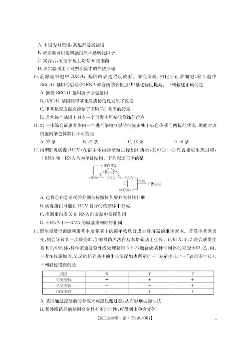 2026届甘肃省高三上学期12月阶段性考试生物试卷（有答案）第3页