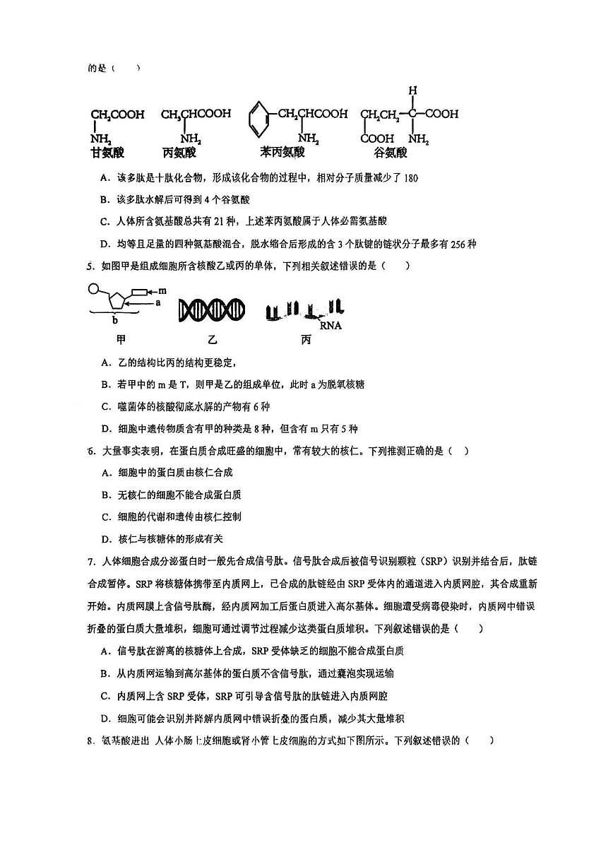 2025-2026学年天津市河东区第四十五中学高一上学期12月月考生物试题（有解析）第2页
