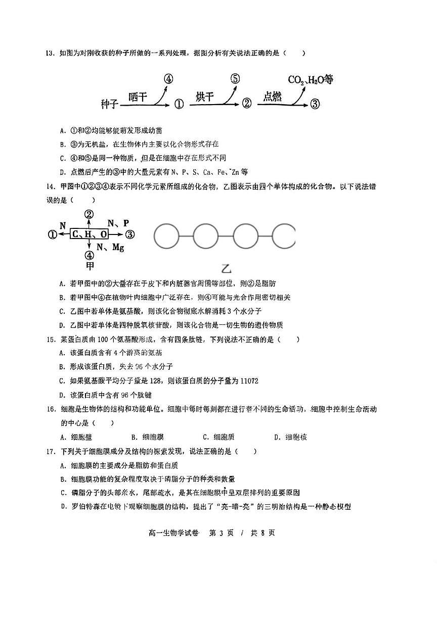 2025-2026学年天津市宝坻区第四中学高一上学期12月月考生物试题（有答案）第3页