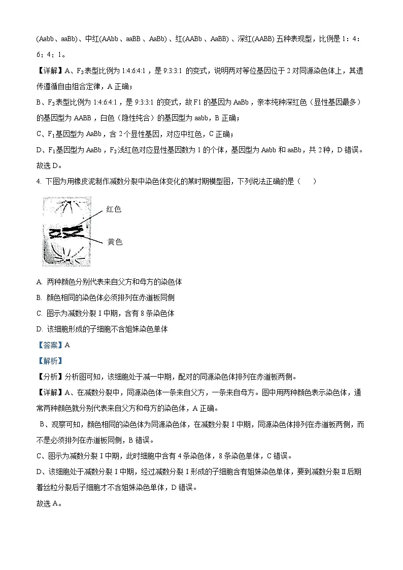 北京市西城区2024-2025学年高一下学期7月期末考试生物试卷 含解析第3页