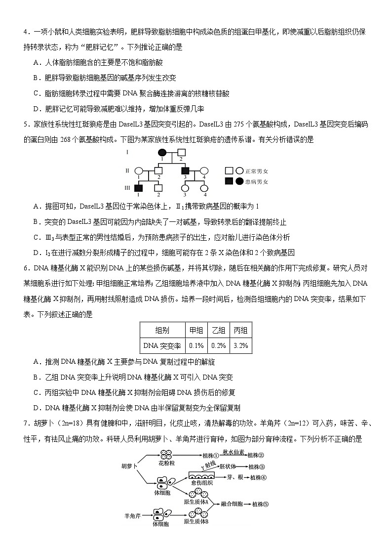湖北省荆州中学2025-2026学年高三上学期12月月考生物试卷第2页