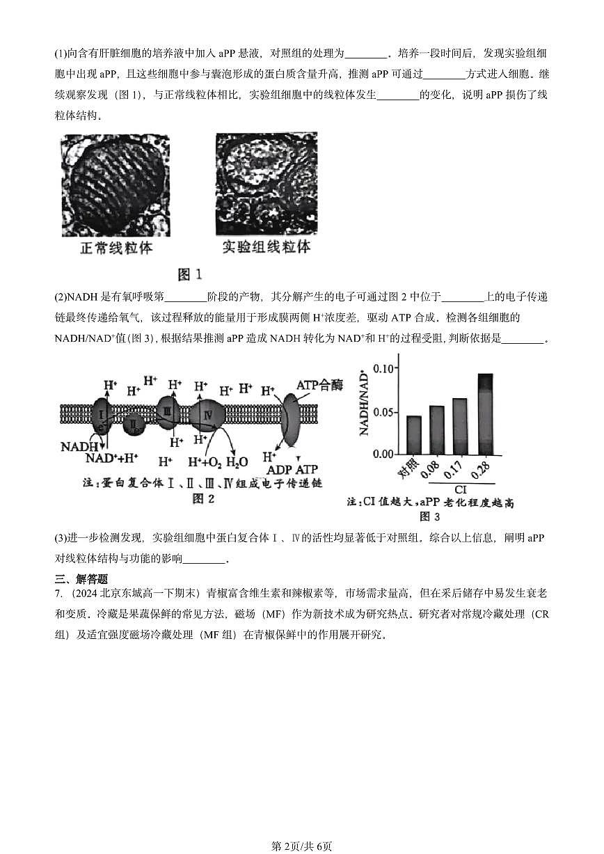 2023-2025北京重点校高一（下）期末生物汇编：细胞呼吸的原理和应用第2页