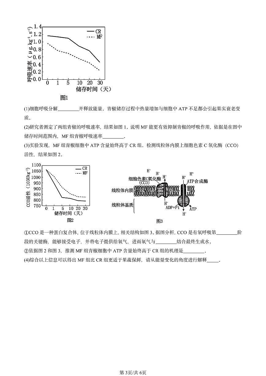 2023-2025北京重点校高一（下）期末生物汇编：细胞呼吸的原理和应用第3页