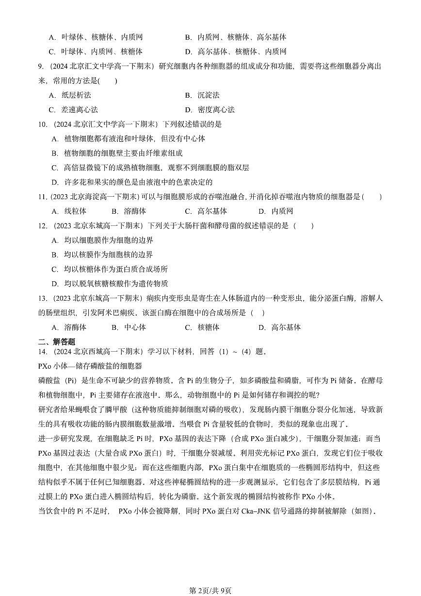 2023-2025北京重点校高一（下）期末生物汇编：细胞器之间的分工合作第2页