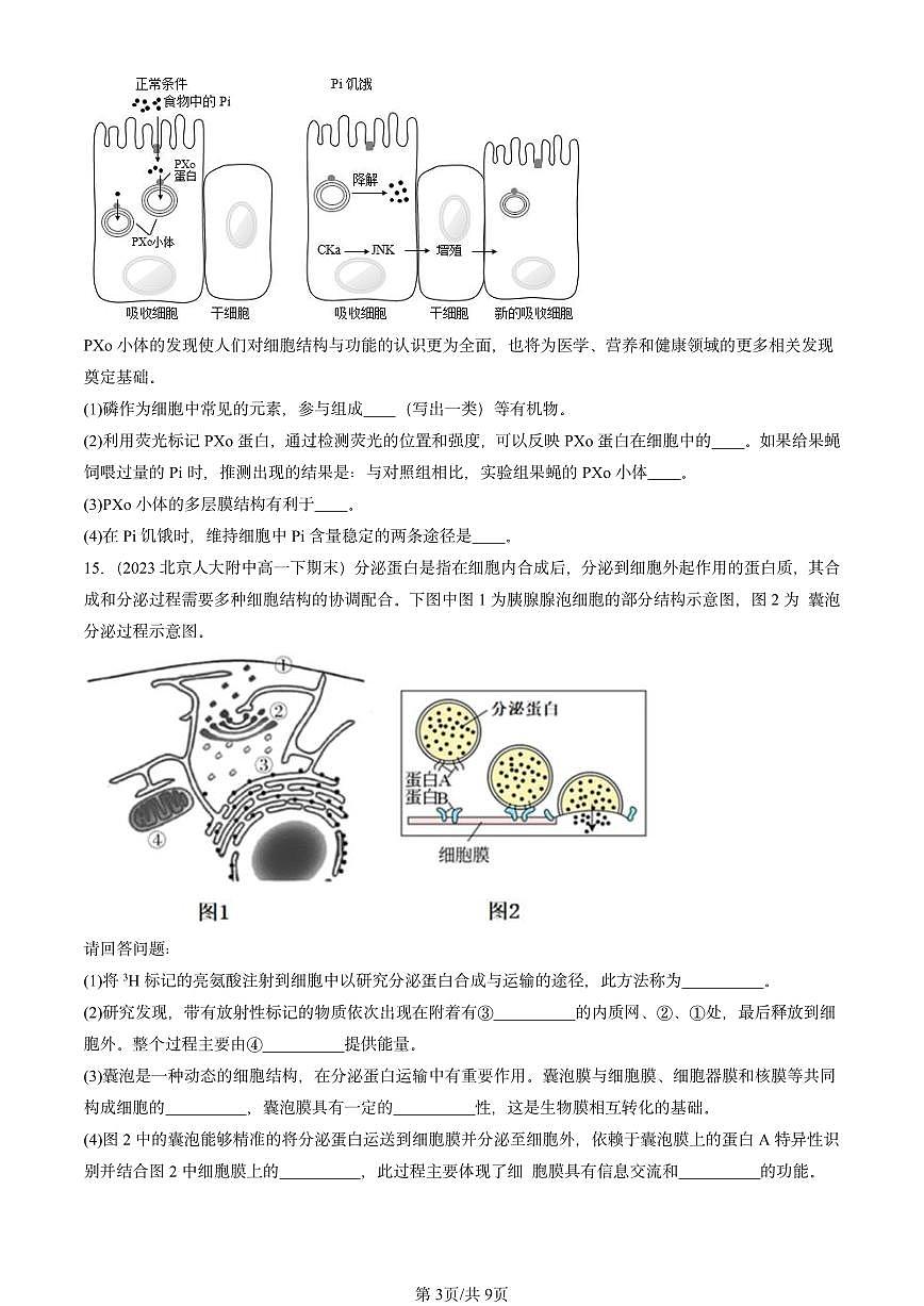 2023-2025北京重点校高一（下）期末生物汇编：细胞器之间的分工合作第3页