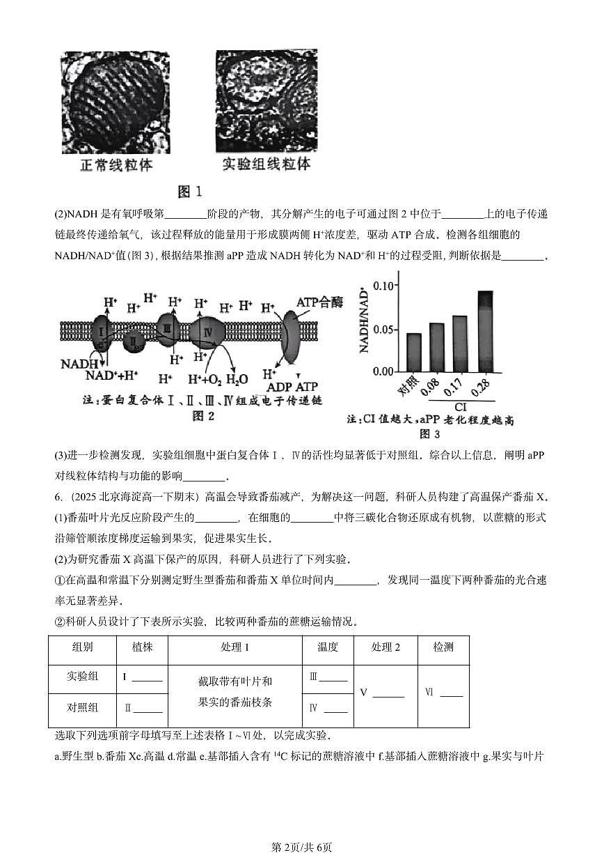 2025北京重点校高一（下）期末生物汇编：细胞的能量供应和利用章节综合第2页