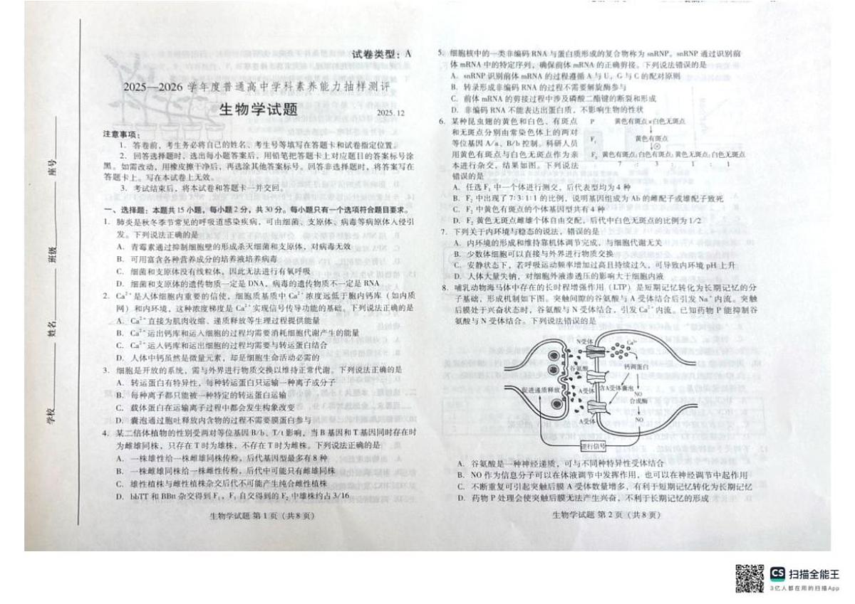 2025-2026学年山东省潍坊市高二上学期12月生物月考试题（有答案）第1页