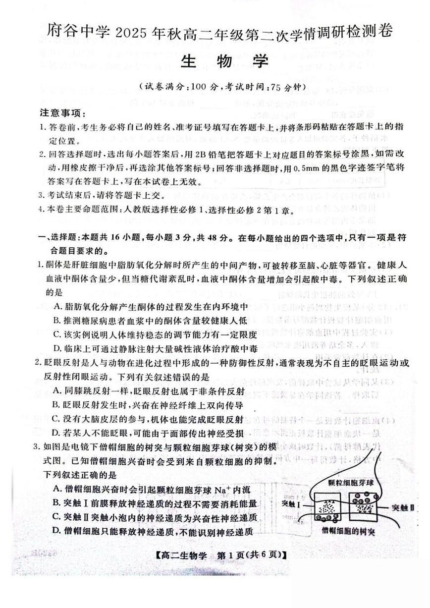 2025-2026学年陕西省榆林市府谷县府谷中学高二上学期第二次学情调研检测生物试卷（有答案）第1页