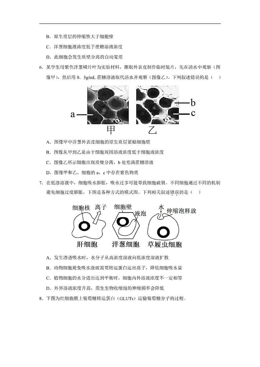 2025-2026学年山东省济宁市微山县第二中学高一上12月测试生物试题（有答案）第2页