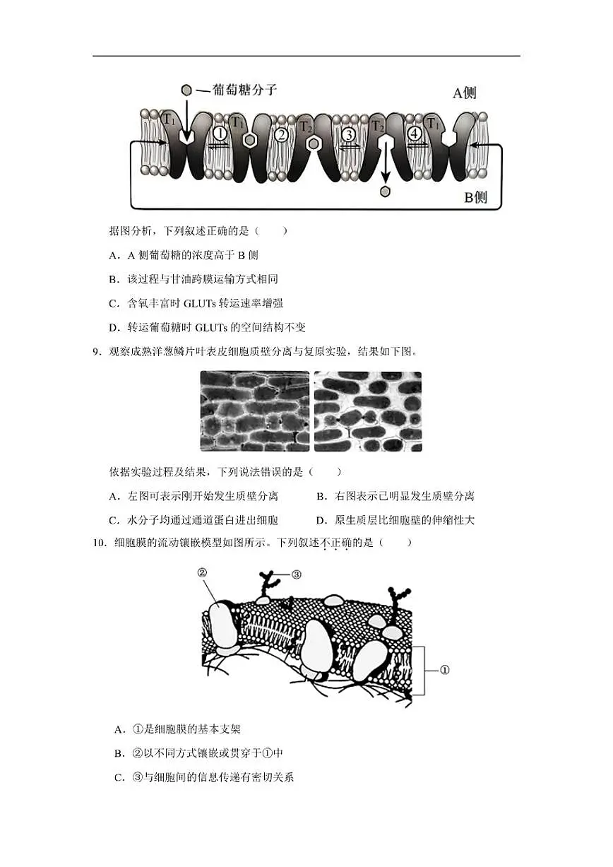 2025-2026学年山东省济宁市微山县第二中学高一上12月测试生物试题（有答案）第3页