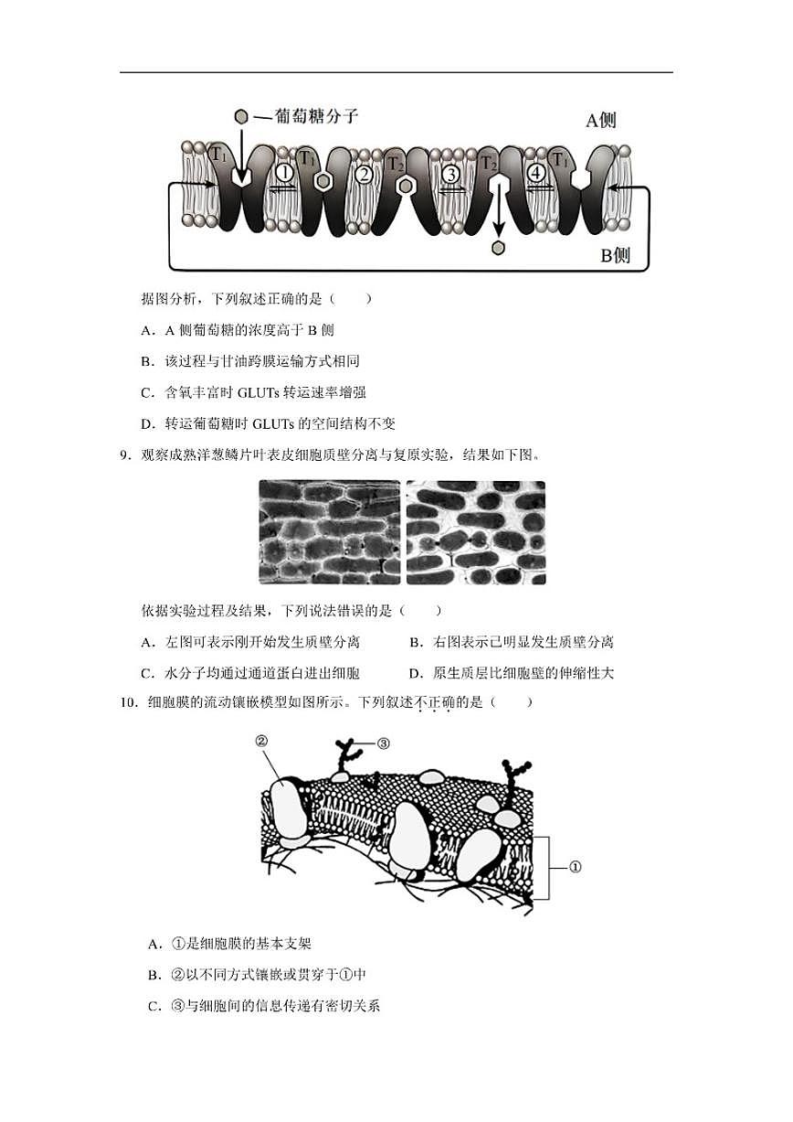 2025-2026学年山东省济宁市微山县第二中学高一上12月测试生物试题（有答案）第3页