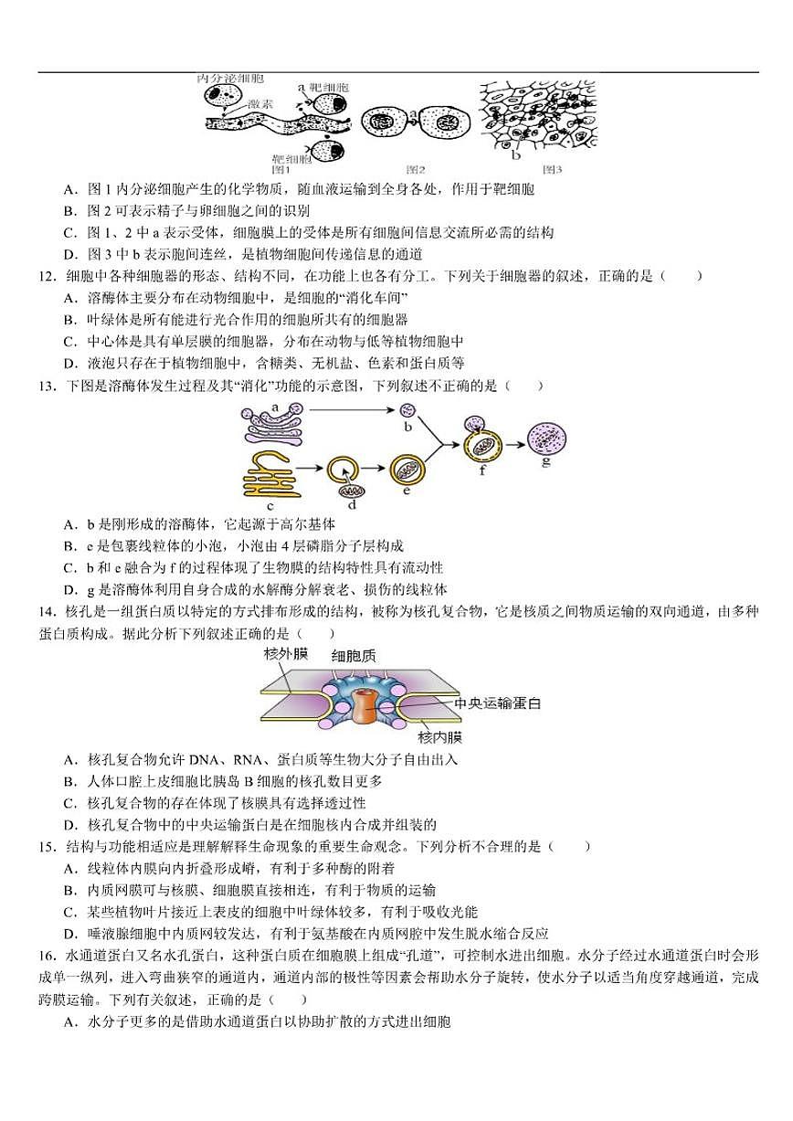 2025-2026学年云南省文山壮族苗族自治州文山市第一中学高一上学期12月月考生物试题（有答案）第3页