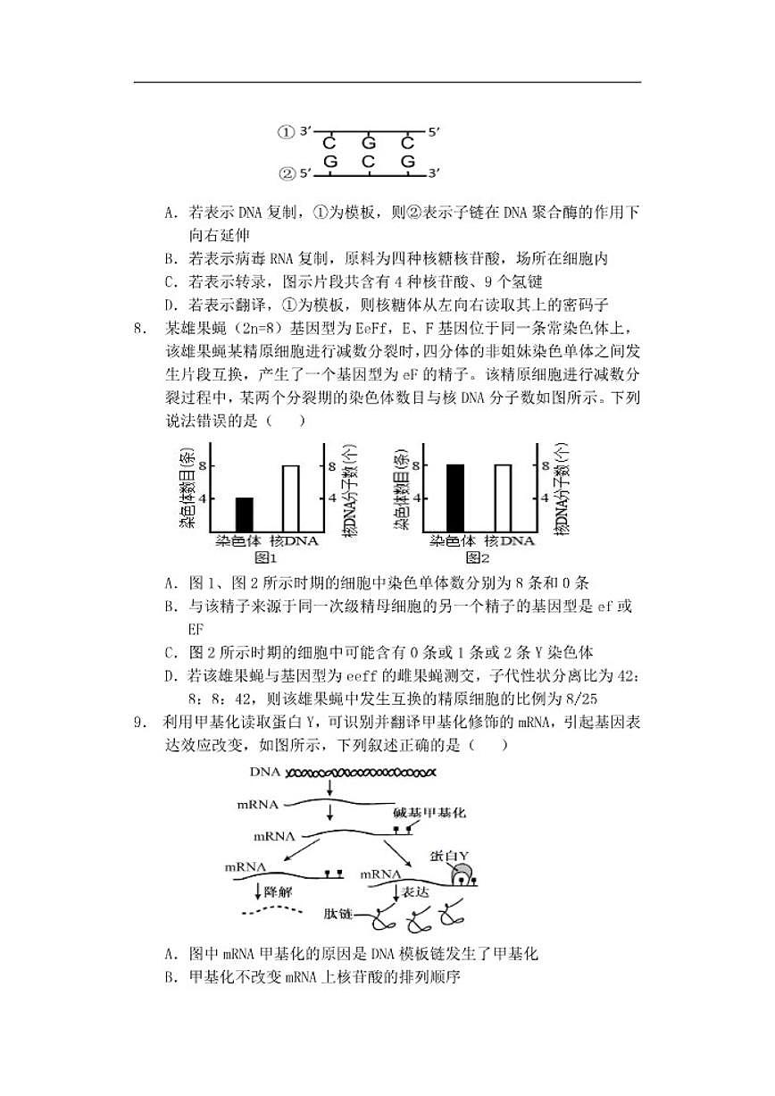 2025-2026学年江苏省盐城市五校联盟高三上学期12月月考生物试题（有答案）第3页