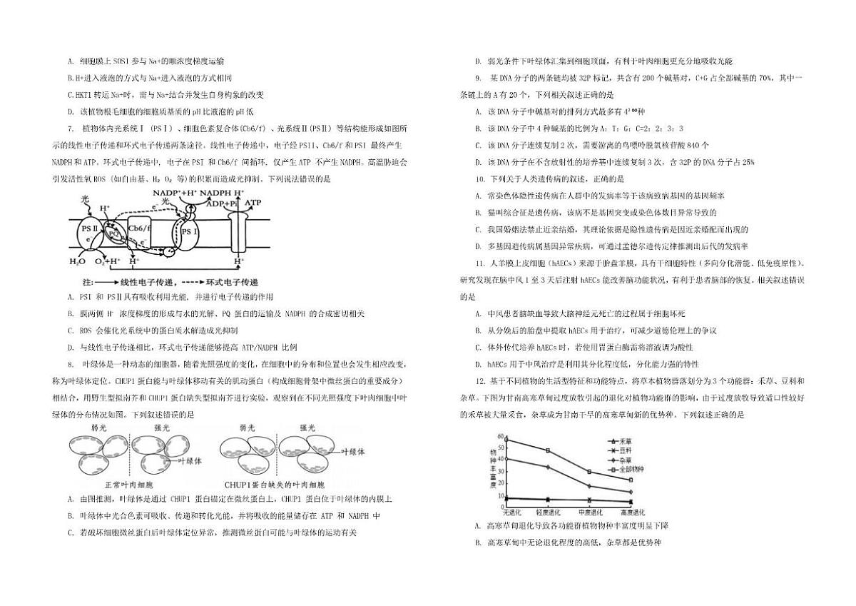 2025-2026学年甘肃省陇南市康县联考高三上学期12月月考生物试题（有解析）第2页