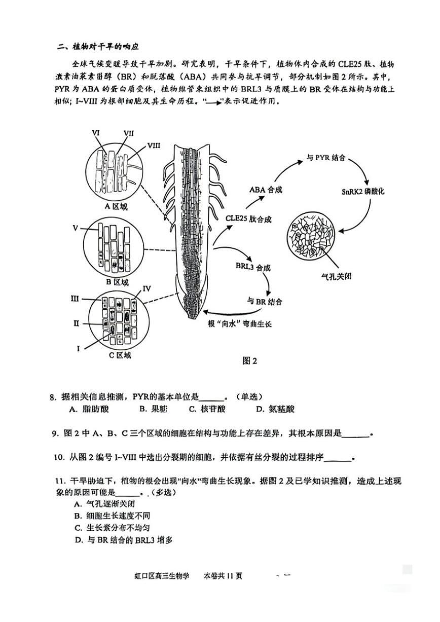 2026届上海市虹口区高三第一学期期终学习能力诊断测试（一模）生物试卷（有答案）第3页
