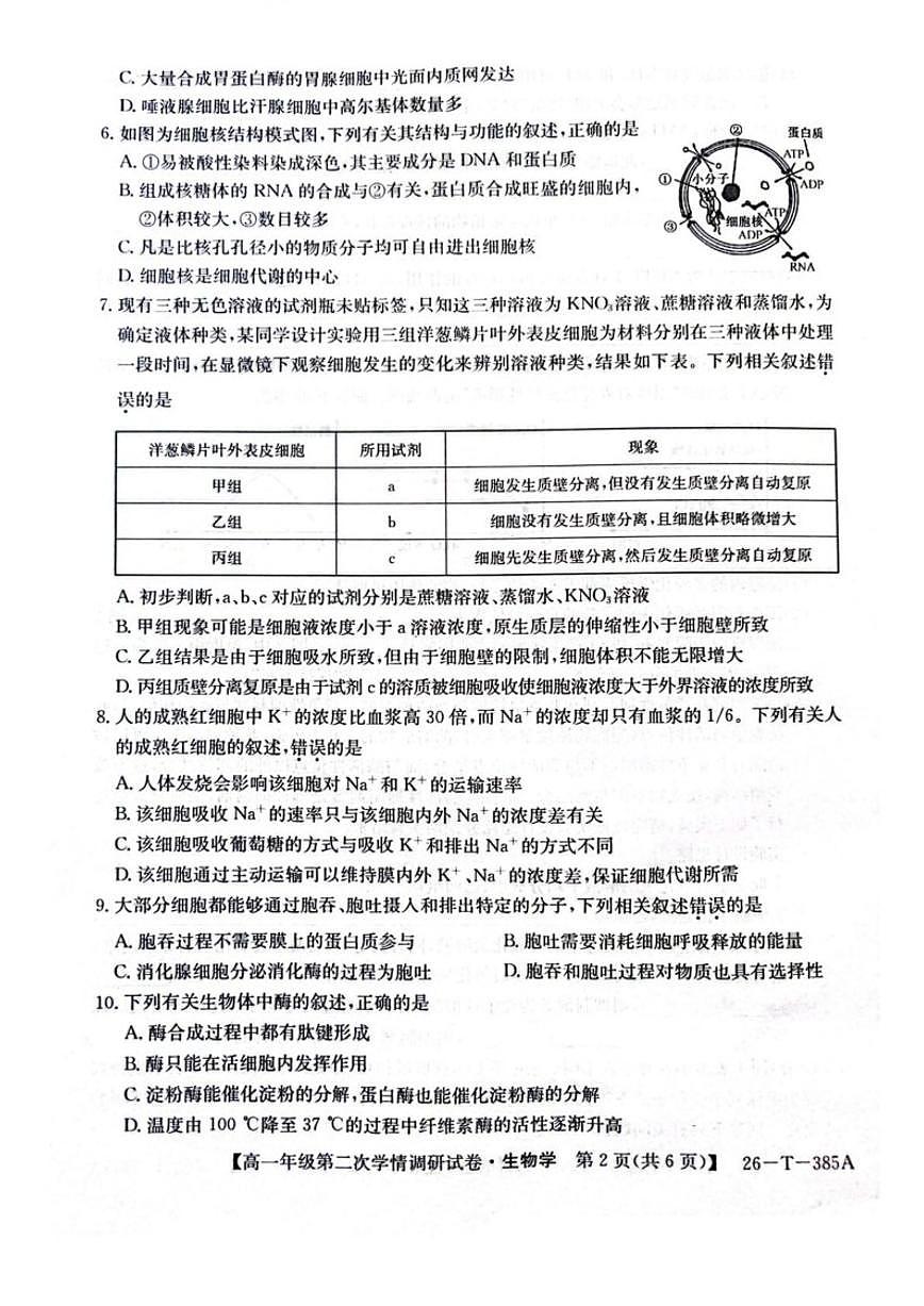 2025-2026学年陕西省榆林市府谷中学高一上学期第二次学情调研生物试卷（有答案）第2页