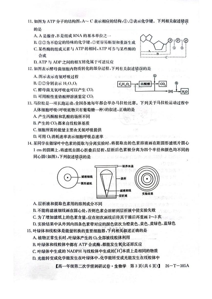 2025-2026学年陕西省榆林市府谷中学高一上学期第二次学情调研生物试卷（有答案）第3页