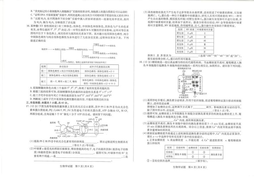 2025-2026学年湖南省名校大联考高三上学期12月月考生物试题（有答案）第3页
