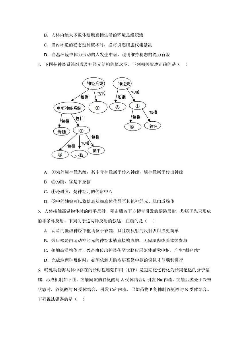 广东省东莞市众美中学2025——2026学年度高二上学期12月考试生物学试卷（有答案）第2页