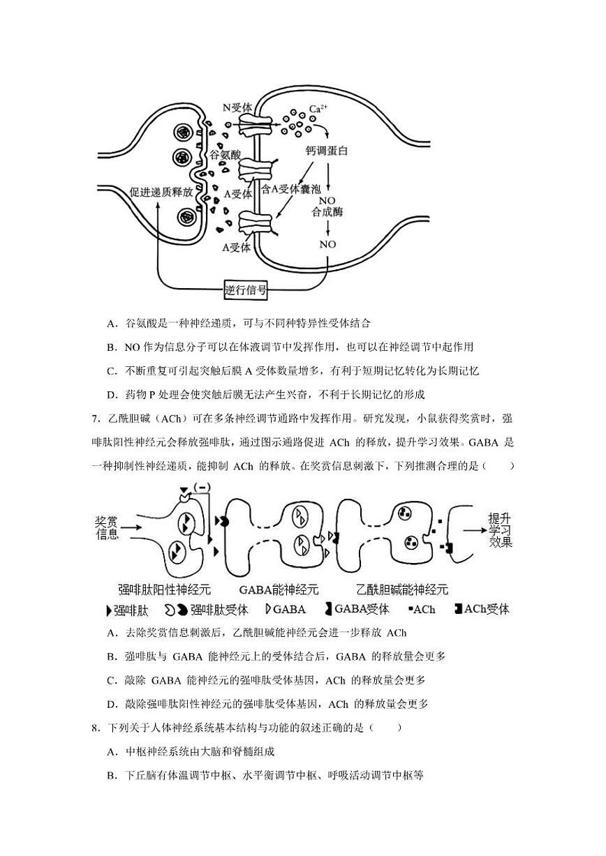广东省东莞市众美中学2025——2026学年度高二上学期12月考试生物学试卷（有答案）第3页