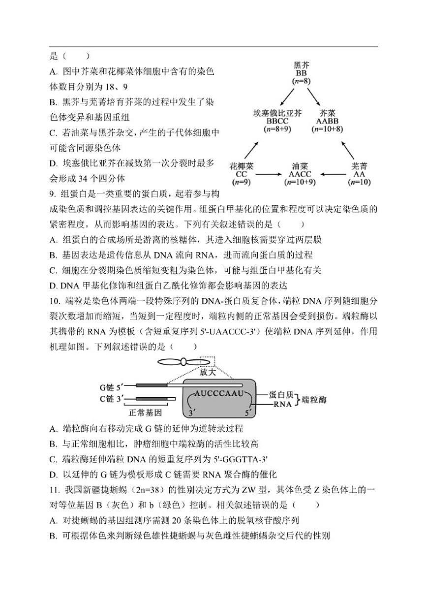 2025-2026学年天津市静海区第一中学高三上学期12月月考生物试题（有答案）第3页