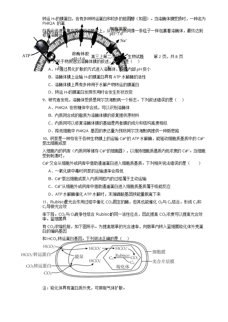 福建省古田县第一中学高三上学期第三次月考生物试题-A4第3页