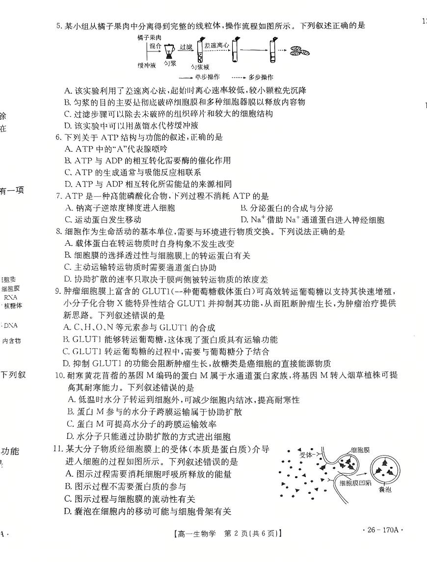 河北省邢台市联考2025-2026学年高一上学期1月月考生物试题第2页