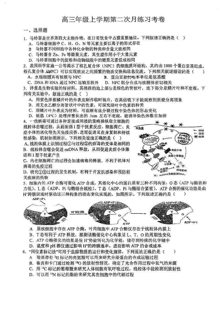 天津市蓟州区杨家楼中学2025-2026学年高三上学期12月月考生物试题第1页