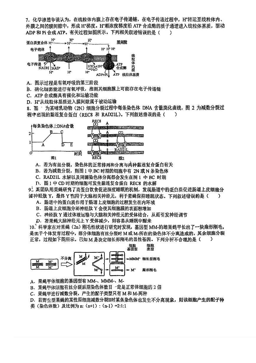 天津市蓟州区杨家楼中学2025-2026学年高三上学期12月月考生物试题第2页