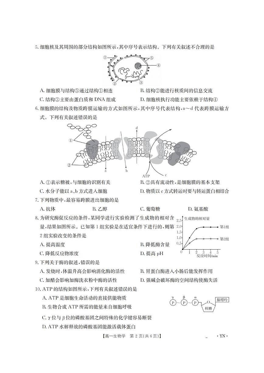 2025-2026学年云南省部分学校高一上学期12月月考生物试题（有解析）第2页