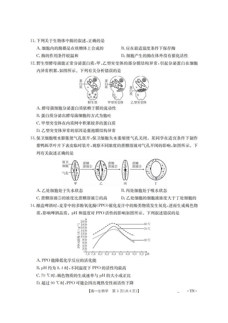 2025-2026学年云南省部分学校高一上学期12月月考生物试题（有解析）第3页