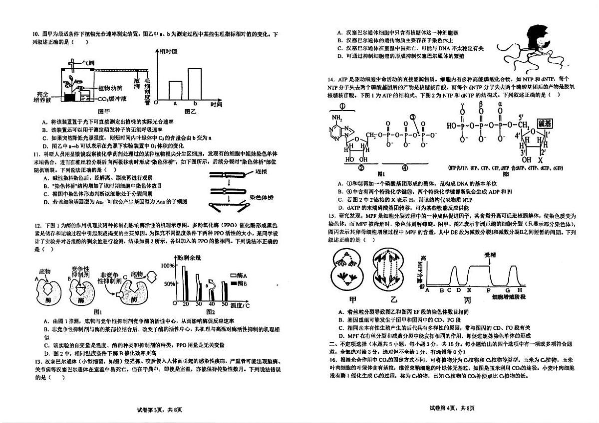 2025-2026学年黑龙江省哈尔滨市宾县第一中学高三上学期第二次月考生物试题（有答案）第2页