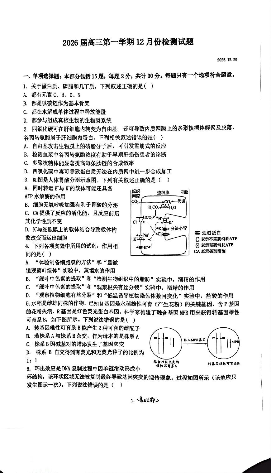 江苏省南通市如东高级中学、沭阳如东中学2025-2026学年高三上学期12月检测生物试题（月考）第1页