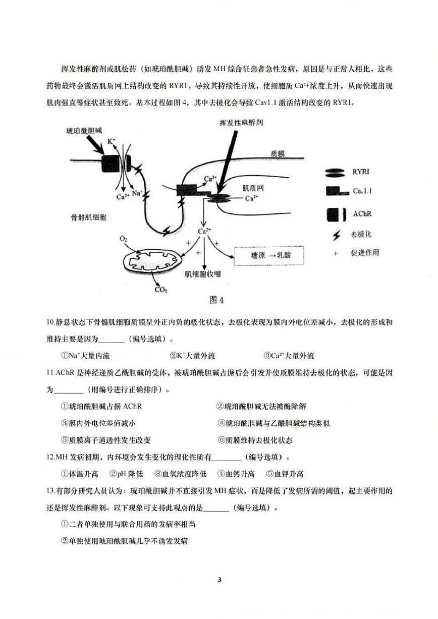 2025-2026学年上海市宝山区上学期高三一模生物试题（有答案）第3页