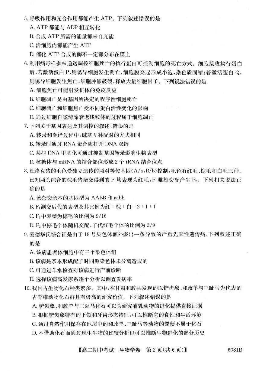 广西南宁市“4+N”联盟学校2025-2026学年高二上学期期中考试生物试卷（含答案）第2页