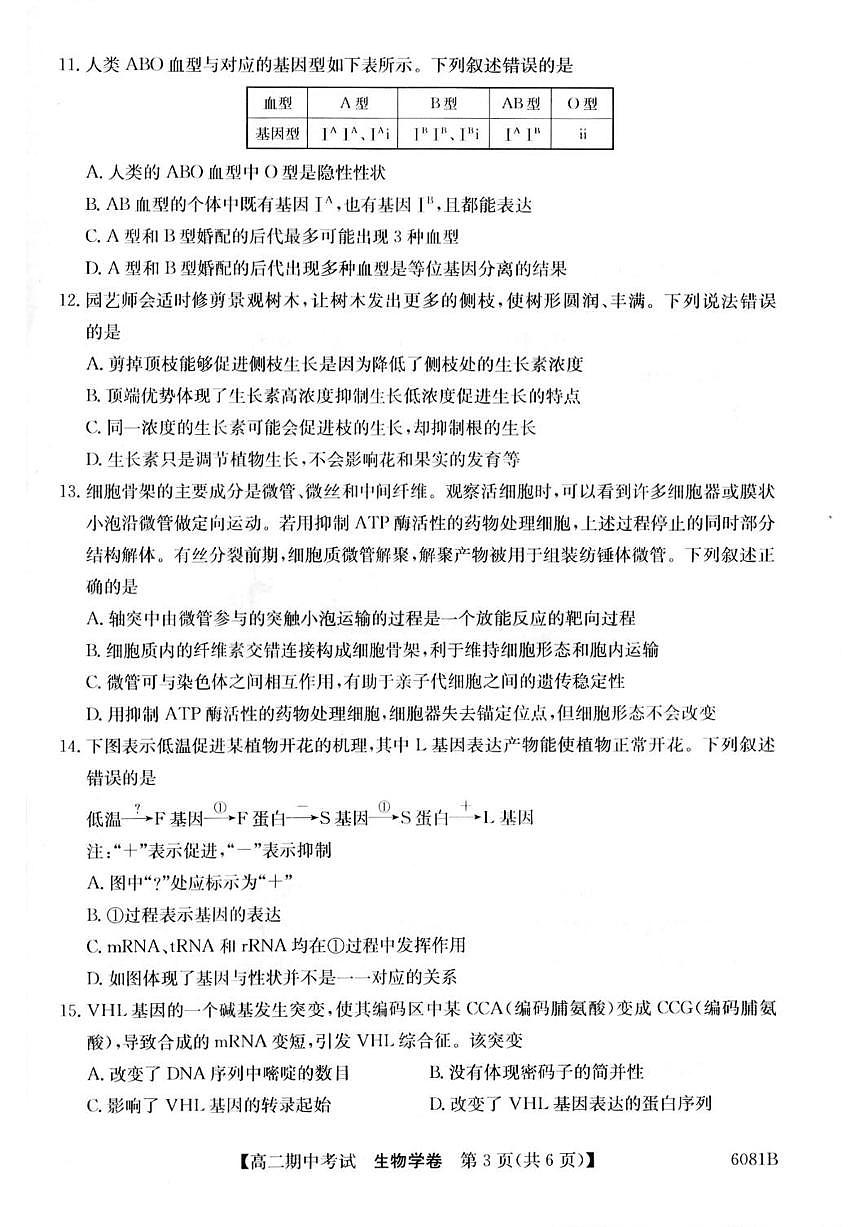广西南宁市“4+N”联盟学校2025-2026学年高二上学期期中考试生物试卷（含答案）第3页