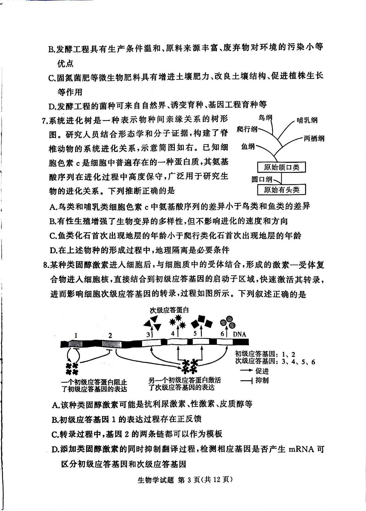 河南省湘豫名校联考2025年12月高三上学期质量检测生物试卷（含答案）第3页