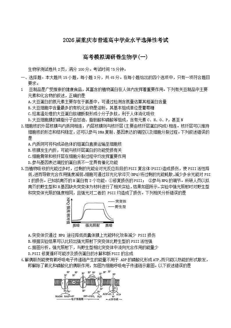 2026重庆市高三上学期12月高考模拟调研考试（一）生物含答案第1页
